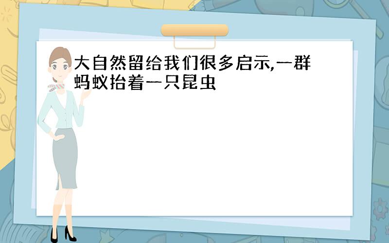 大自然留给我们很多启示,一群蚂蚁抬着一只昆虫