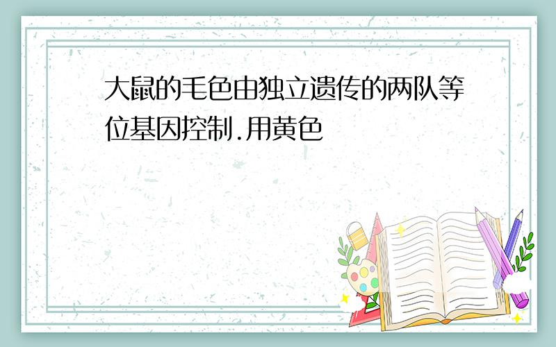 大鼠的毛色由独立遗传的两队等位基因控制.用黄色