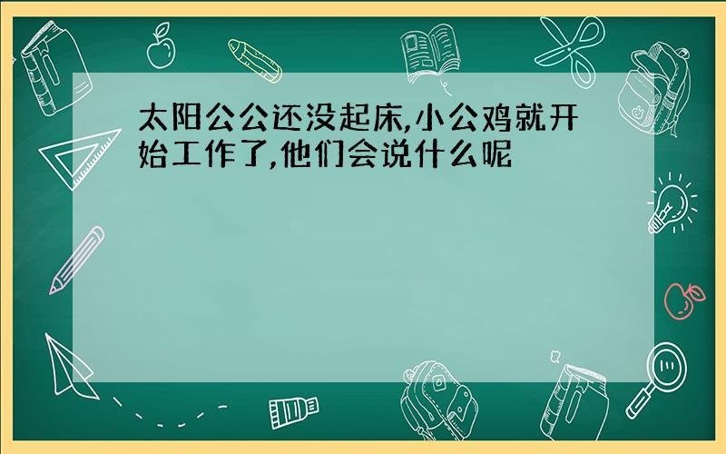 太阳公公还没起床,小公鸡就开始工作了,他们会说什么呢