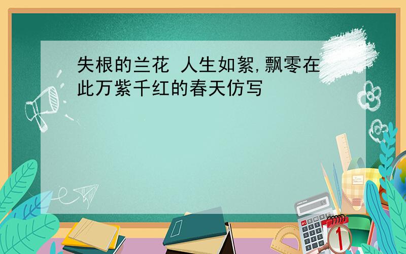 失根的兰花 人生如絮,飘零在此万紫千红的春天仿写