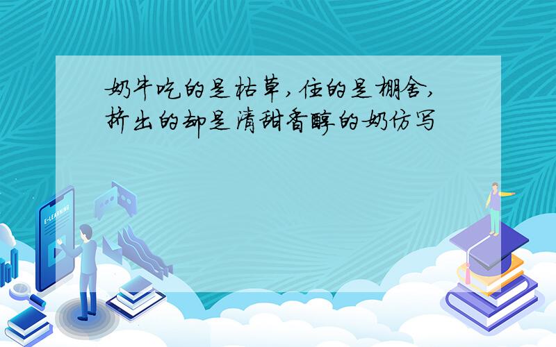 奶牛吃的是枯草,住的是棚舍,挤出的却是清甜香醇的奶仿写