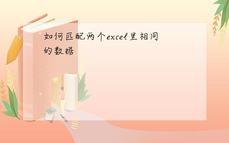 如何匹配两个excel里相同的数据