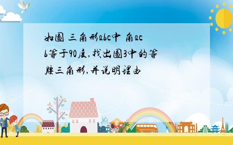 如图 三角形abc中 角acb等于90度,找出图3中的等腰三角形,并说明理由