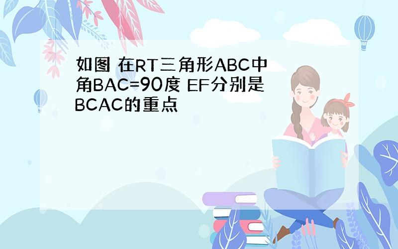 如图 在RT三角形ABC中 角BAC=90度 EF分别是BCAC的重点