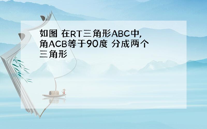 如图 在RT三角形ABC中,角ACB等于90度 分成两个三角形