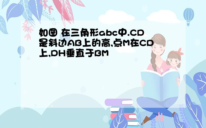 如图 在三角形abc中.CD是斜边AB上的高,点M在CD上,DH垂直于BM