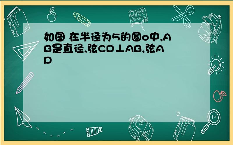 如图 在半径为5的圆o中,AB是直径,弦CD⊥AB,弦AD