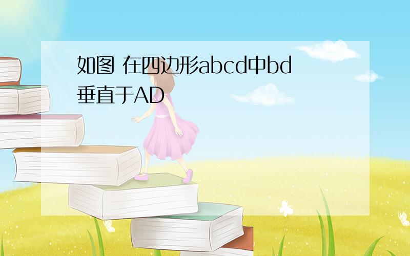 如图 在四边形abcd中bd垂直于AD