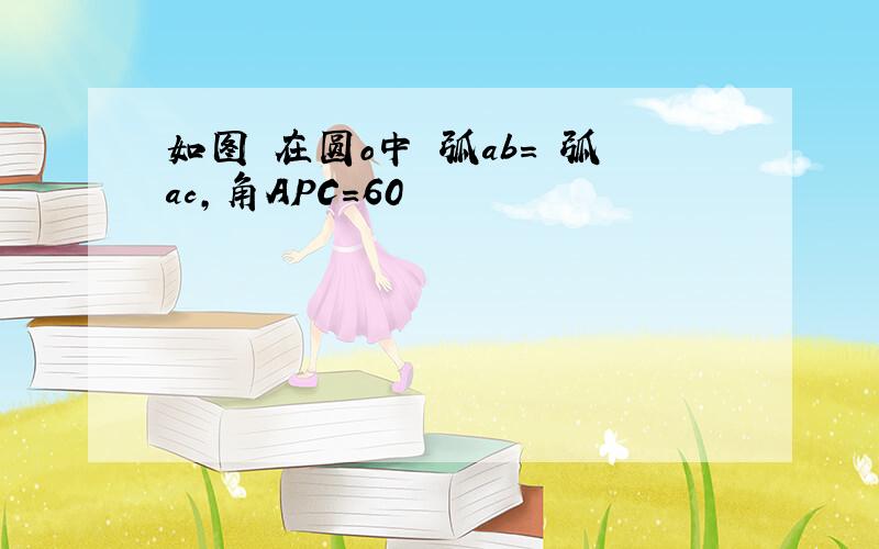 如图 在圆o中 弧ab= 弧ac,角APC=60