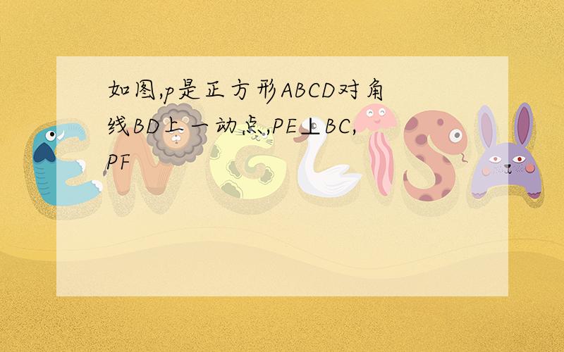 如图,p是正方形ABCD对角线BD上一动点,PE⊥BC,PF