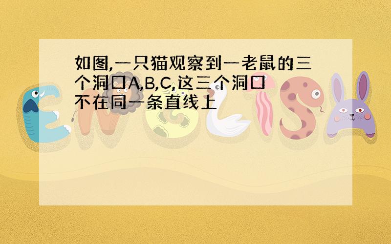 如图,一只猫观察到一老鼠的三个洞口A,B,C,这三个洞口不在同一条直线上