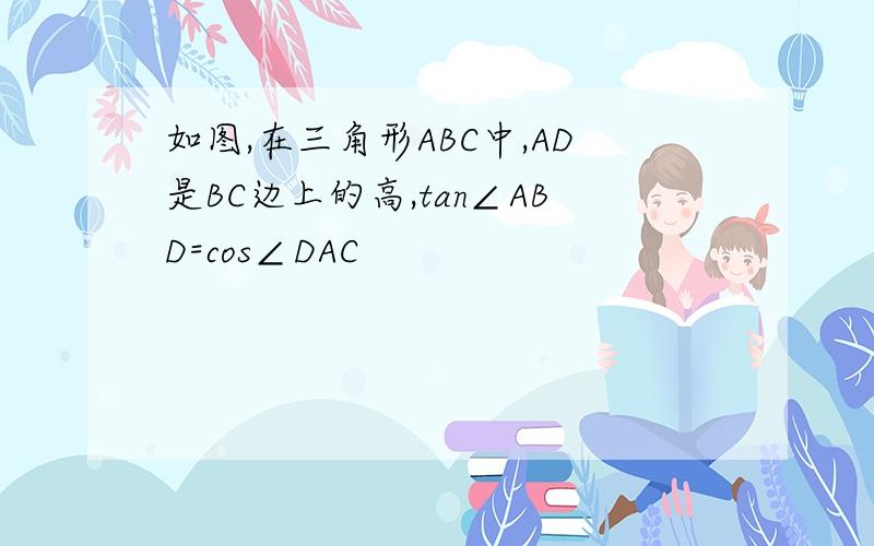 如图,在三角形ABC中,AD是BC边上的高,tan∠ABD=cos∠DAC