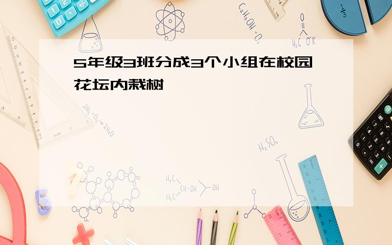 5年级3班分成3个小组在校园花坛内栽树