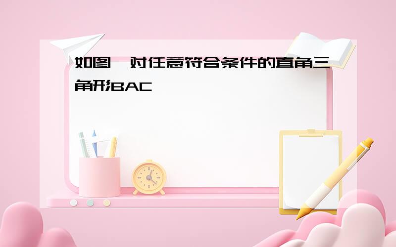 如图,对任意符合条件的直角三角形BAC