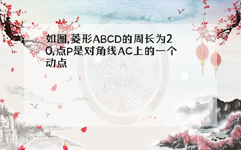 如图,菱形ABCD的周长为20,点P是对角线AC上的一个动点