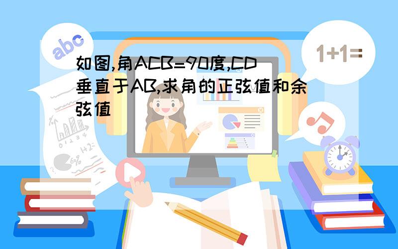 如图,角ACB=90度,CD垂直于AB,求角的正弦值和余弦值