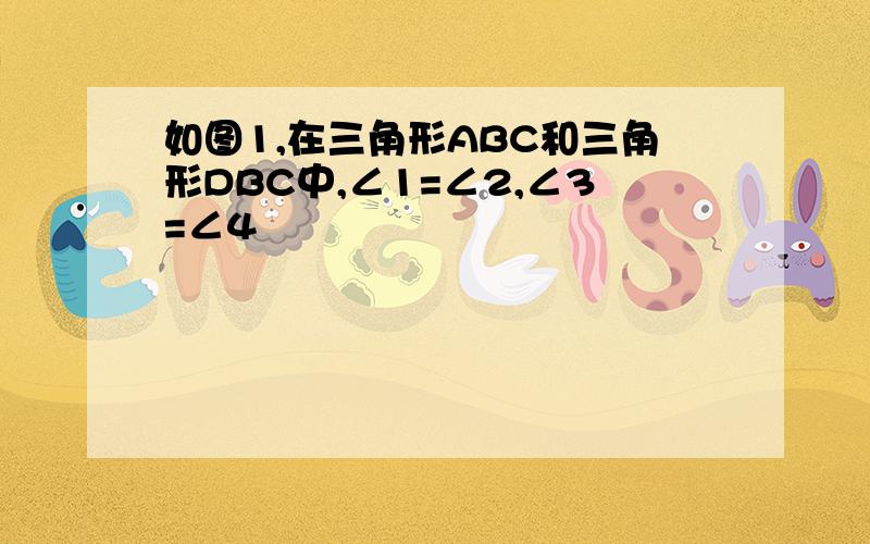 如图1,在三角形ABC和三角形DBC中,∠1=∠2,∠3=∠4