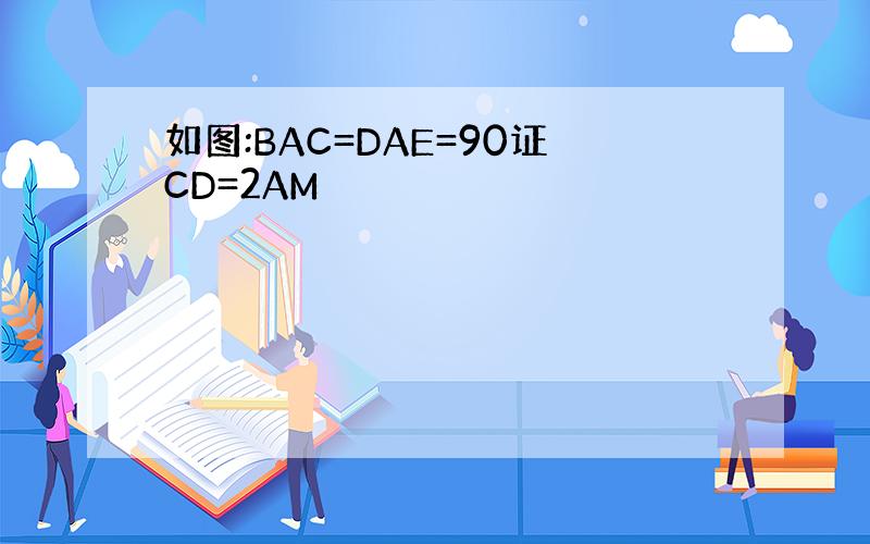 如图:BAC=DAE=90证CD=2AM