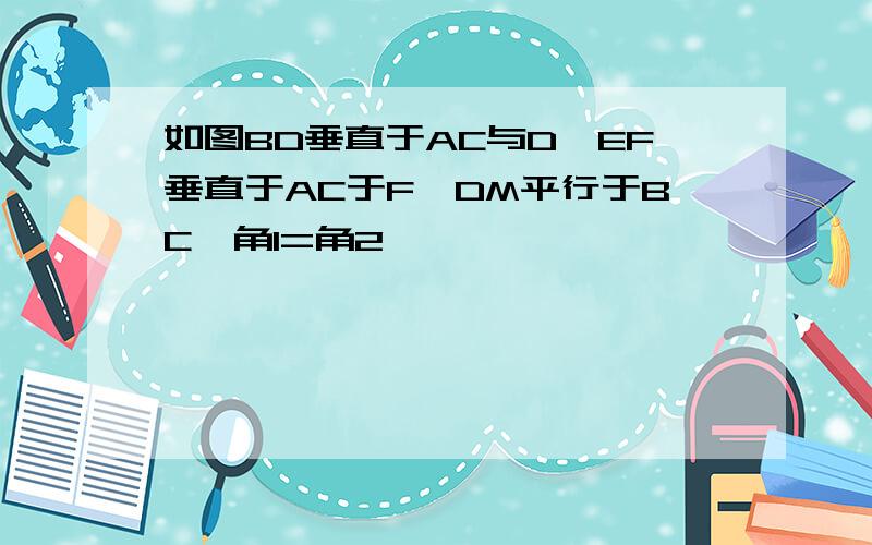 如图BD垂直于AC与D,EF垂直于AC于F,DM平行于BC,角1=角2