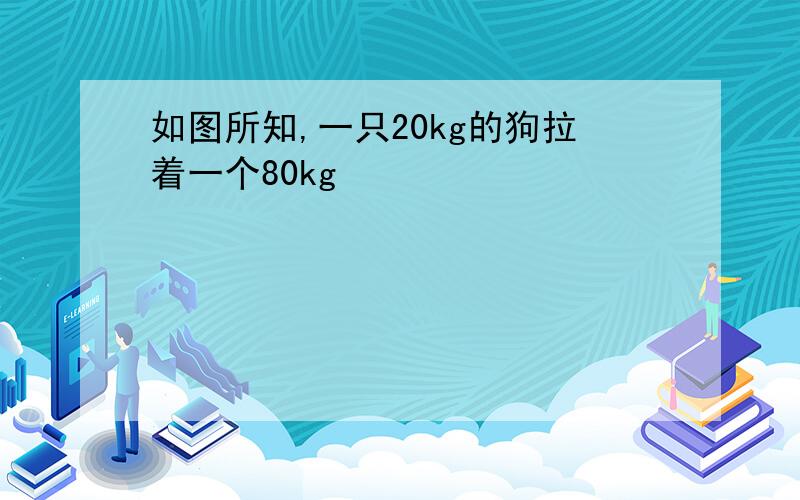 如图所知,一只20kg的狗拉着一个80kg