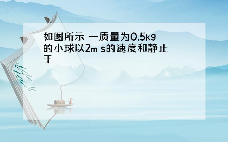 如图所示 一质量为0.5kg的小球以2m s的速度和静止于