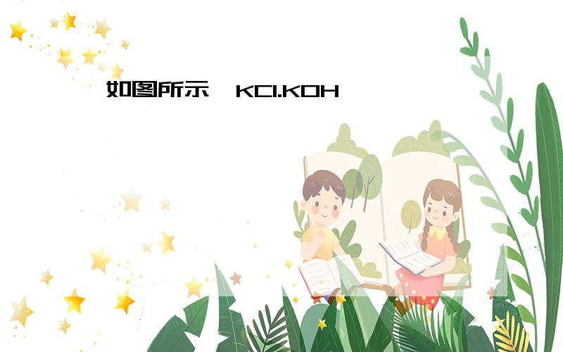 如图所示,KCl.KOH