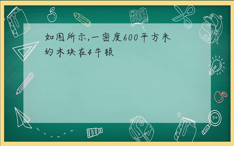 如图所示,一密度600平方米的木块在4牛顿