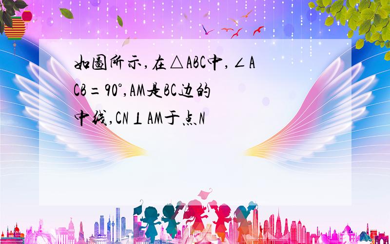 如图所示,在△ABC中,∠ACB=90°,AM是BC边的中线,CN⊥AM于点N