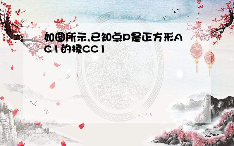 如图所示,已知点P是正方形AC1的棱CC1