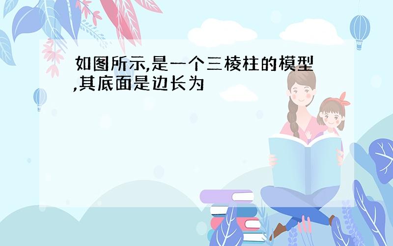 如图所示,是一个三棱柱的模型,其底面是边长为