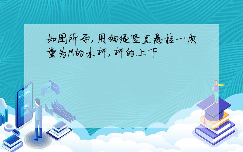 如图所示,用细绳竖直悬挂一质量为M的木杆,杆的上下