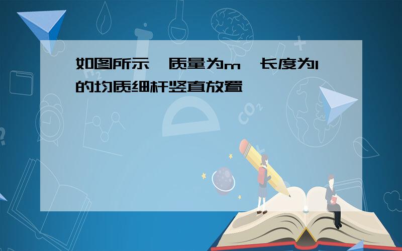 如图所示,质量为m,长度为l的均质细杆竖直放置