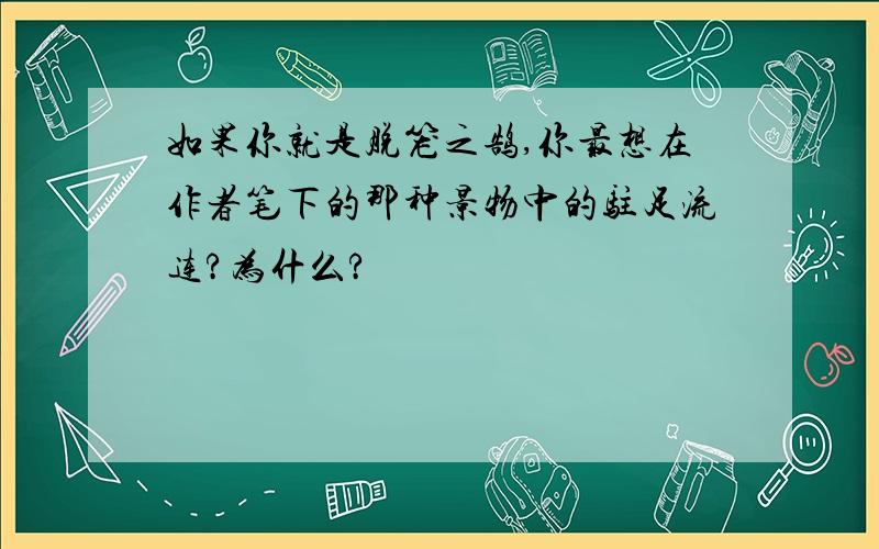 如果你就是脱笼之鹄,你最想在作者笔下的那种景物中的驻足流连?为什么?