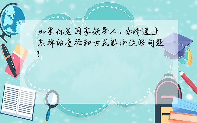 如果你是国家领导人,你将通过怎样的途径和方式解决这些问题?