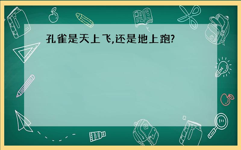 孔雀是天上飞,还是地上跑?