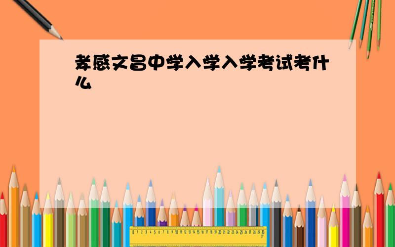 孝感文昌中学入学入学考试考什么