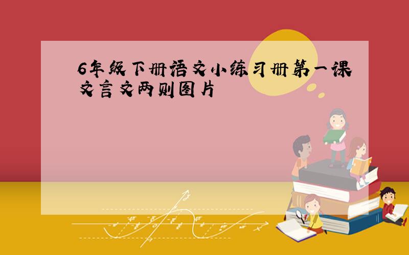 6年级下册语文小练习册第一课文言文两则图片