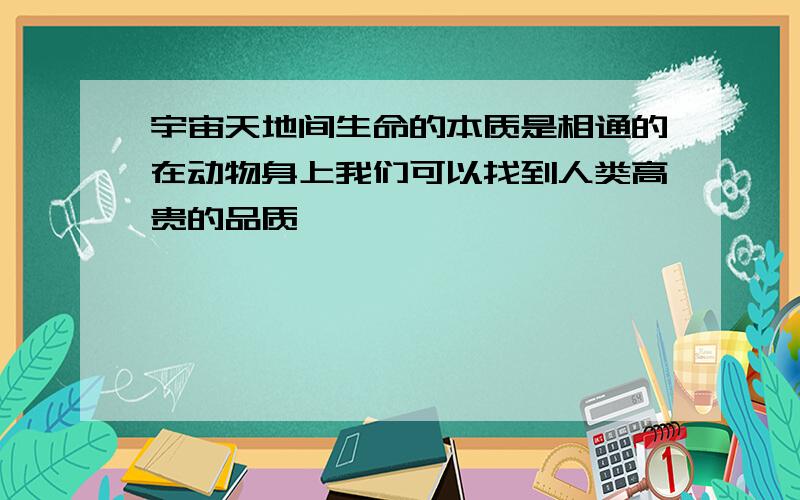 宇宙天地间生命的本质是相通的在动物身上我们可以找到人类高贵的品质,