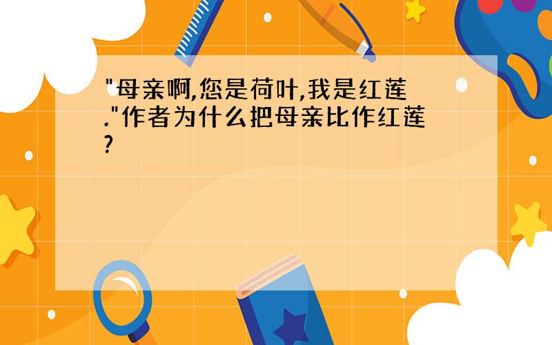 "母亲啊,您是荷叶,我是红莲."作者为什么把母亲比作红莲?