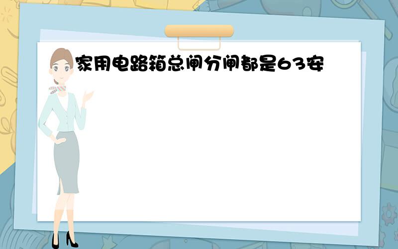 家用电路箱总闸分闸都是63安