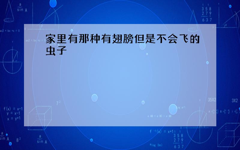 家里有那种有翅膀但是不会飞的虫子