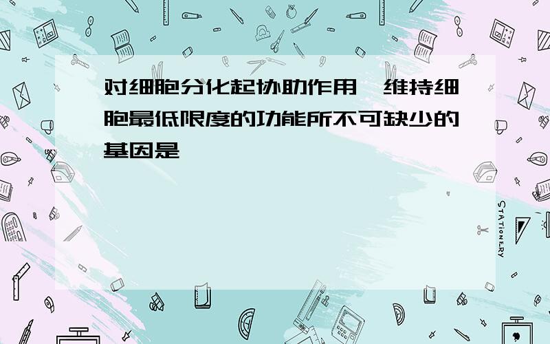 对细胞分化起协助作用,维持细胞最低限度的功能所不可缺少的基因是