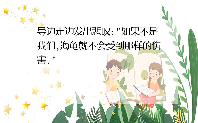 导边走边发出悲叹:"如果不是我们,海龟就不会受到那样的伤害."