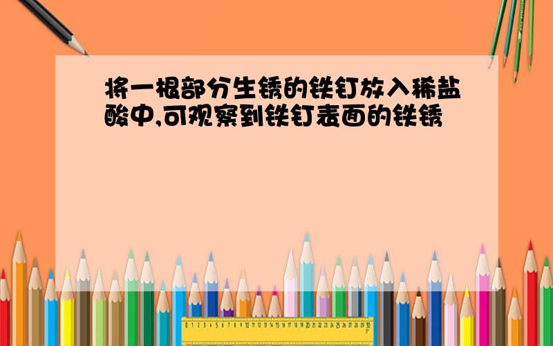 将一根部分生锈的铁钉放入稀盐酸中,可观察到铁钉表面的铁锈