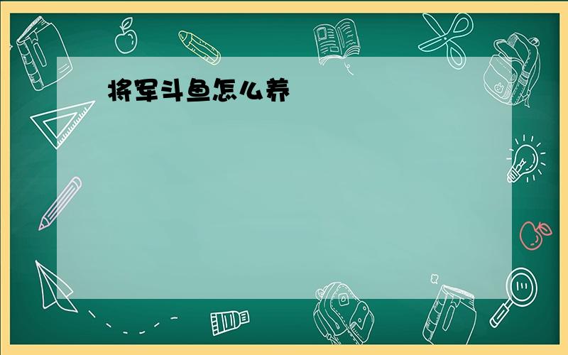 将军斗鱼怎么养