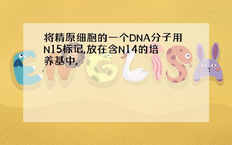 将精原细胞的一个DNA分子用N15标记,放在含N14的培养基中,