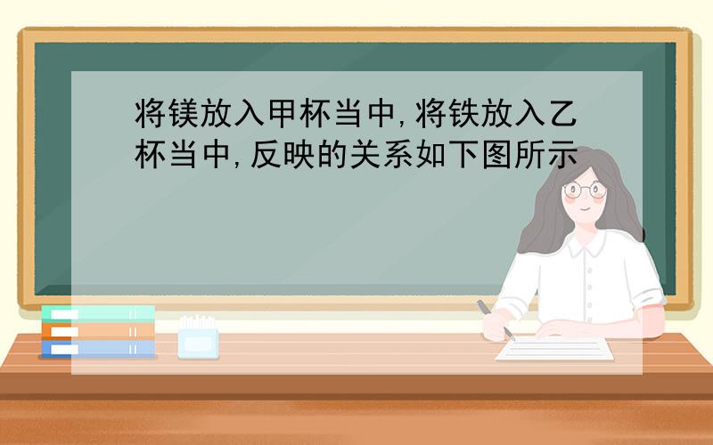 将镁放入甲杯当中,将铁放入乙杯当中,反映的关系如下图所示