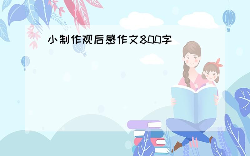 小制作观后感作文800字