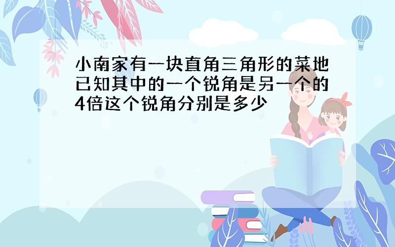 小南家有一块直角三角形的菜地已知其中的一个锐角是另一个的4倍这个锐角分别是多少