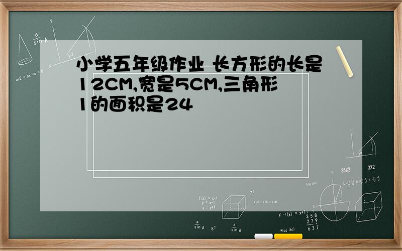 小学五年级作业 长方形的长是12CM,宽是5CM,三角形1的面积是24